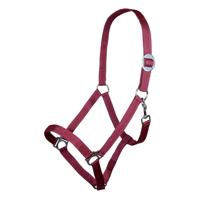 Halster voor paarden HKM Stars Economy