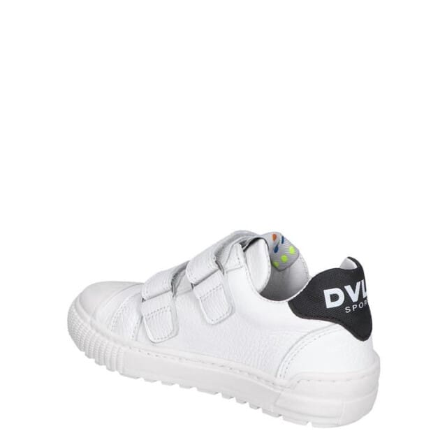 Develab 45959