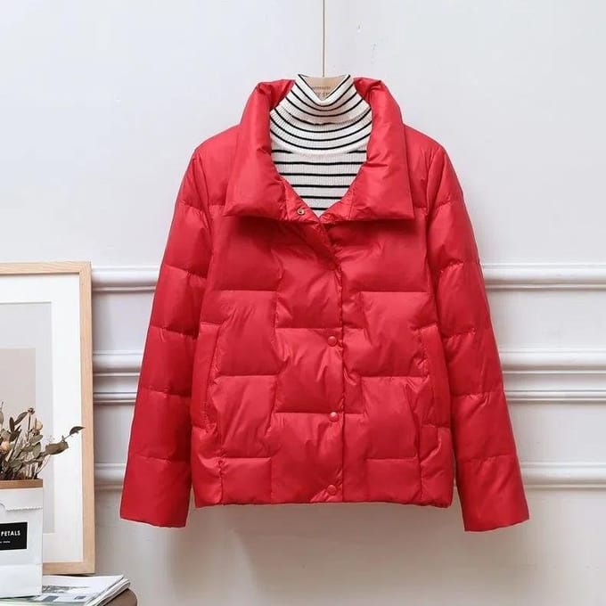 Dames Donsjack Herfst en Winter Kort Losstaande Kraag Gewatteerd Jack Licht en Dun Plus Size Jas S rood