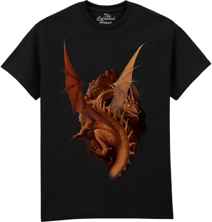 Draak Earth And Fire The Coloured House T-shirt S