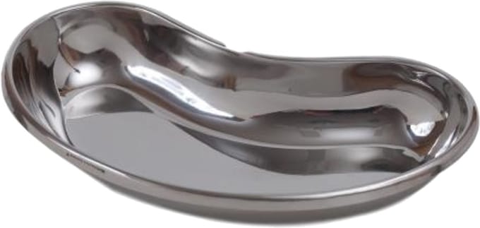 Nierbekken RVS glanzend - 25cm