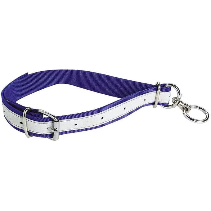 Nylon halsband voor vee Kamer