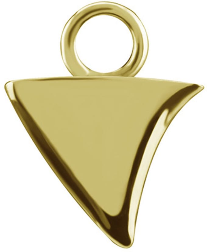Crazy Needles - CoCr Charms - Gouden Driehoek