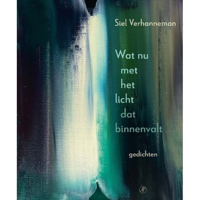 Wat Nu Met Het Licht Dat Binnenvalt - Siel Verhanneman