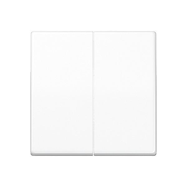 Jung AS500 Schakelelement/Centrale Plaat - AS591-5BFWW