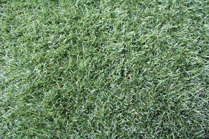 Niba® Kunstgras - 1x3m² - 45mm - Grastapijt - Groen - UV bestendig