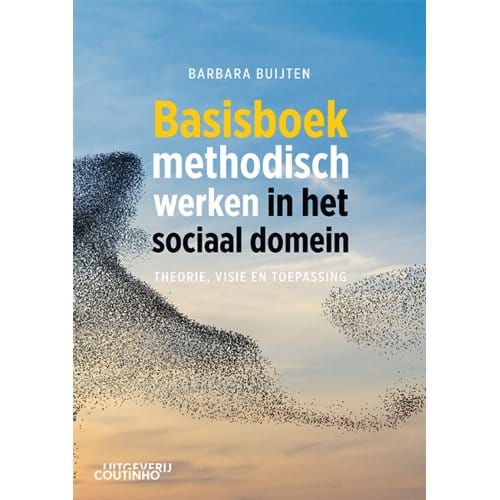 Basisboek Methodisch Werken In Het Sociaal Domein - Barbara Buijten