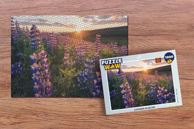 Puzzel Lupine - Zon - Paars - Legpuzzel - Puzzel 1000 stukjes volwassenen