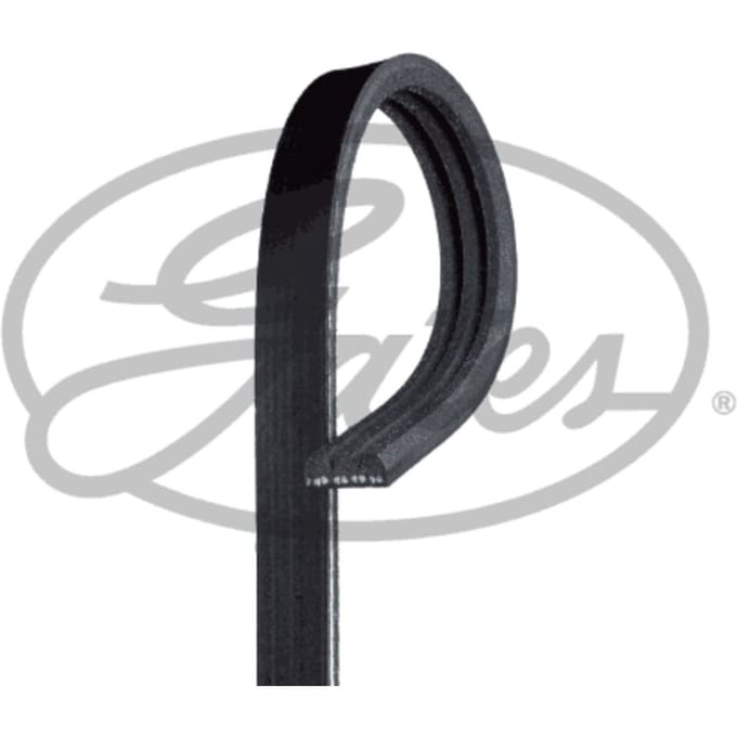 Poly V-riem Micro-V® Stretch Fit® GATES 3PK592SF