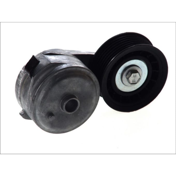 Riemspanner, Poly V-riem DAYCO APV2569