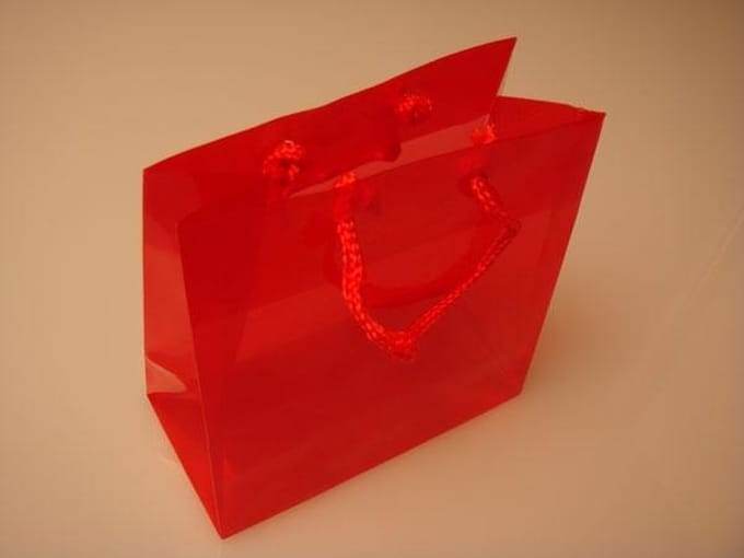 Geschenktassen 16x7,6x16cm met Draagkoorden (10 stuks)