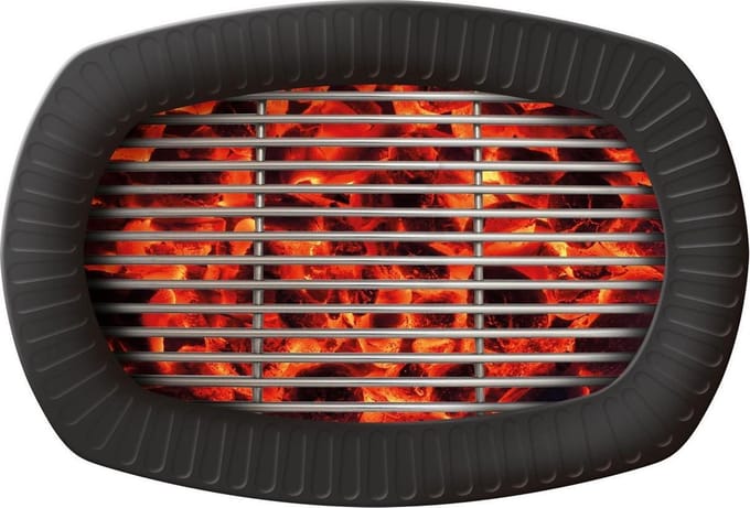 BBQ Borden 24cm - Kartonnen borden voor barbecue - 6 stuks