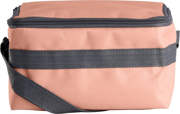 DAY Outfit Koeltas 4 Liter - Misty Coral