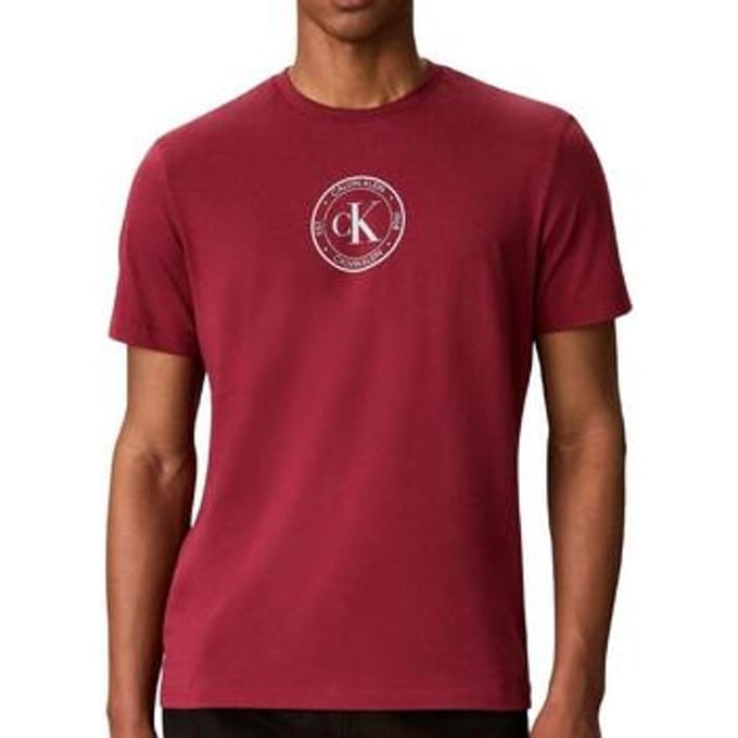 T-shirt Calvin Klein Jeans Ss 30s Eu Crest