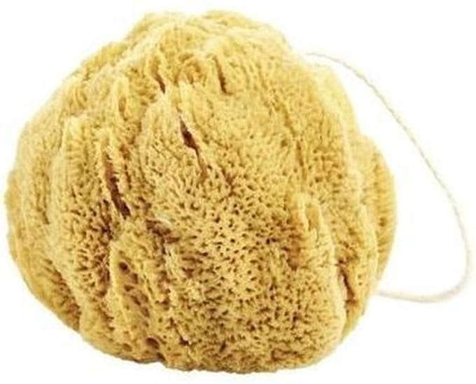 Natuurspons 15 cm groot met koord