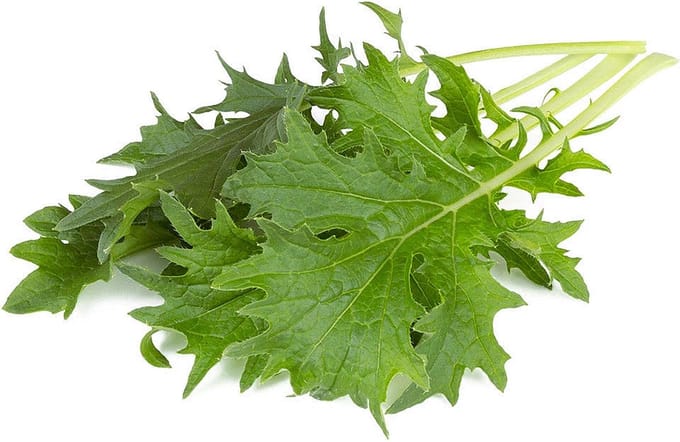 Click & Grow Mizuna / 3-pack