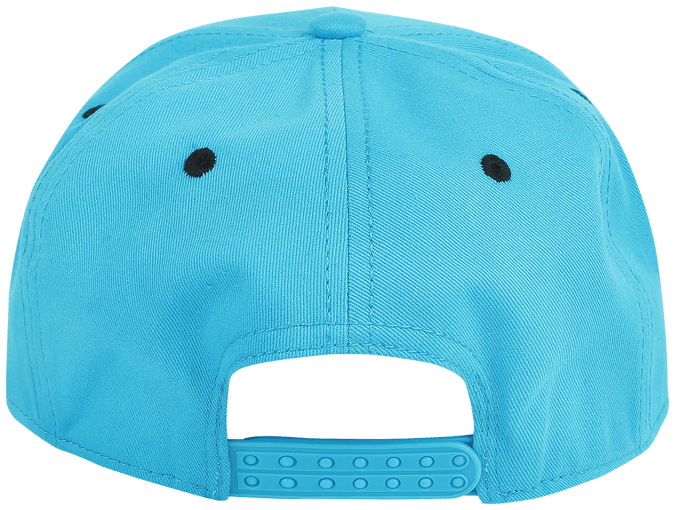 Sesamstraat - Cookie Monster Bite Snapback Cap - Blauw/Bruin