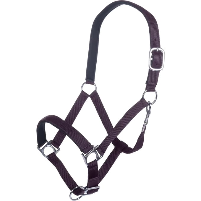 Halster voor paarden HKM Stars