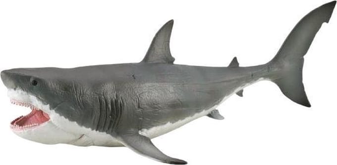 COLLECTA Figurine - Megalodon - 1:40 - Prehistorie - Handgeschilderd - Miniatuur