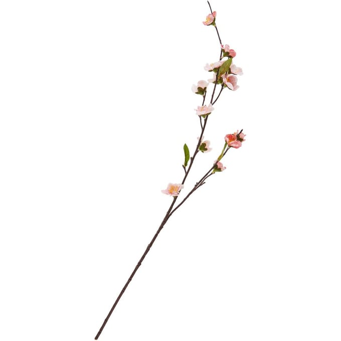 Kersenbloesemtak "Peach"