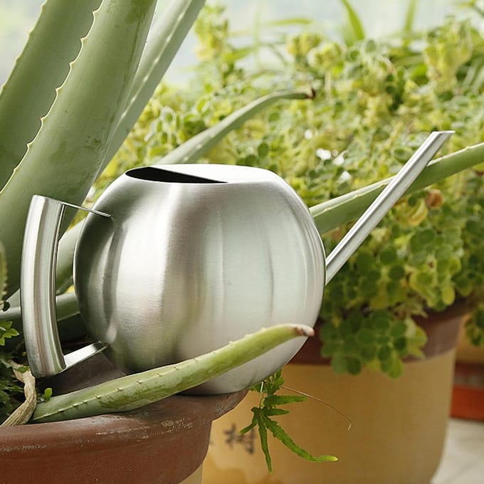 Roestvrijstalen Gieter 1000ml Lange Tuit Ronde Sproeipot voor Huis Tuin Plant white