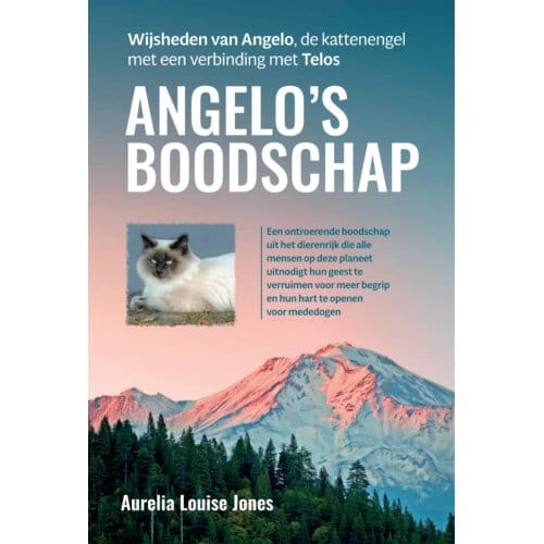 Angelo’s Boodschap - Aurelia Louise Jones
