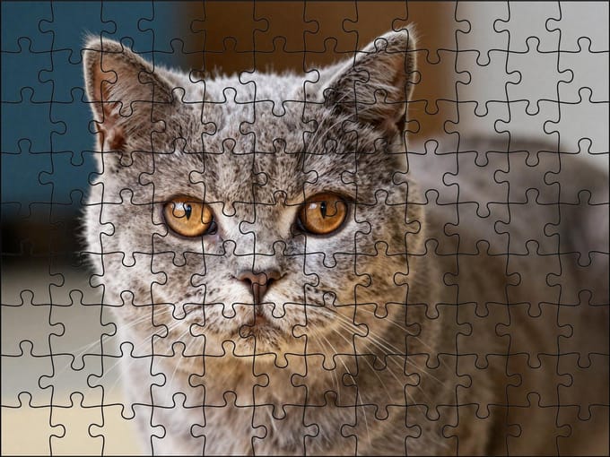Puzzel Britse Korthaar | 120 stukjes | Dierenpuzzel | Kattenpuzzel