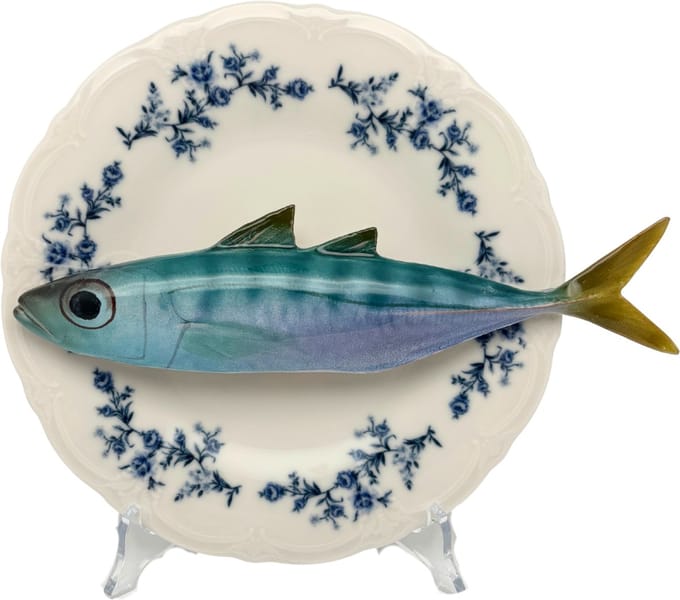 Makreel/sugarello op wit met blauwe details op decoratief bord, 21cm