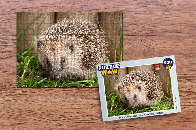 Puzzel Egel voor houten achtergrond - Legpuzzel - Puzzel 500 stukjes
