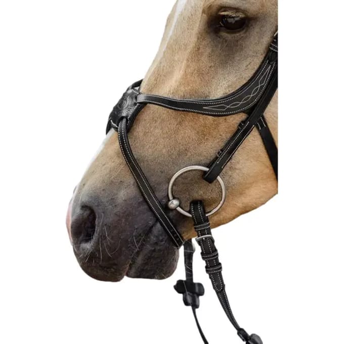 Paardenneusriem PS of Sweden Mexican Pro