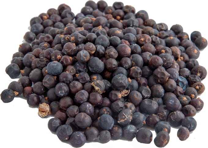 Tuana Kruiden - Jeneverbessen - Bakje 40 Gram - Tuanashop - KP0105