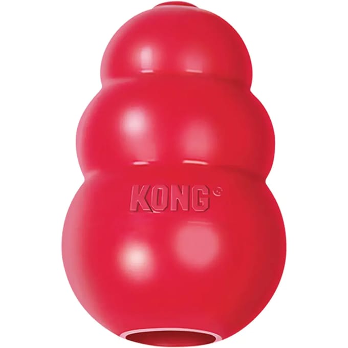 Hondenspeelgoed Kong Company Classic