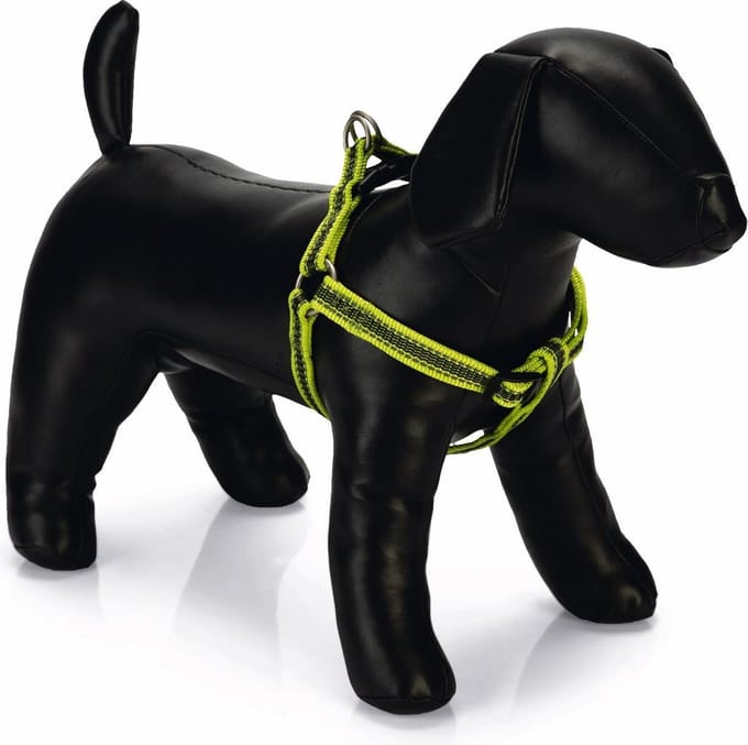 Beeztees nylon borsttuig Cabo geel 46 - 75 cm x 20 mm