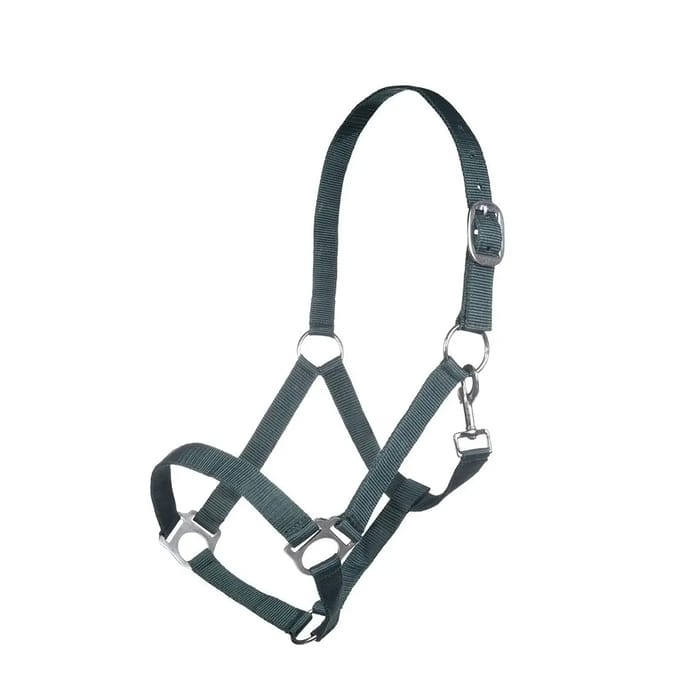 Nylon halster paard HKM Brisbane