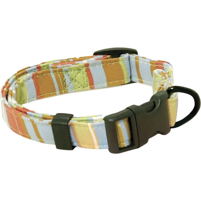 Hondenhalsband Image Raye