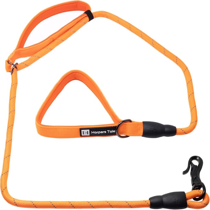 Hondenriem - Leash Hond - Veilig Uitlaten - Verstelbare Handgreep - 1.5 Meter - Oranje