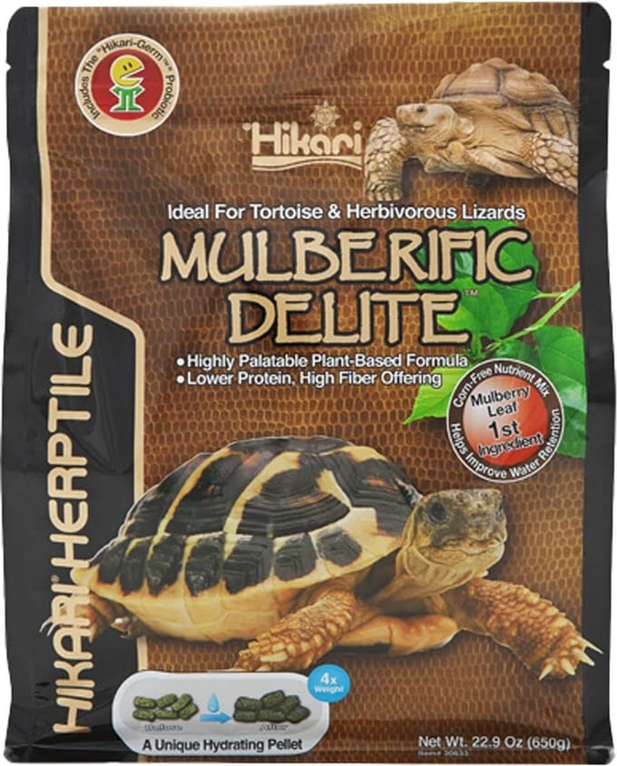 Hikari Turtle Mulberific