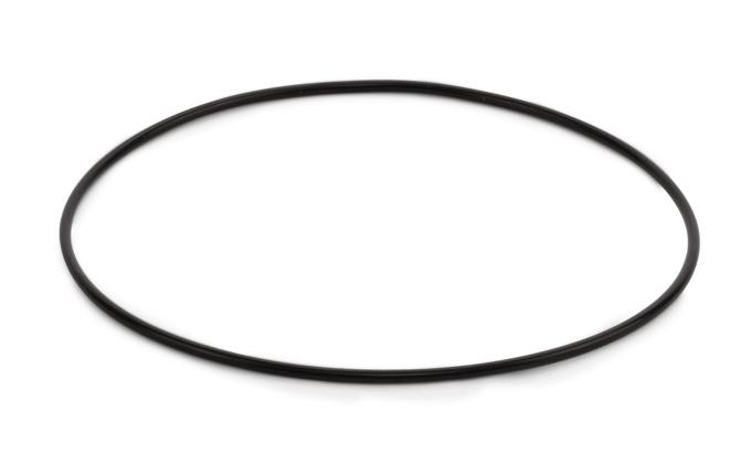 O-ring