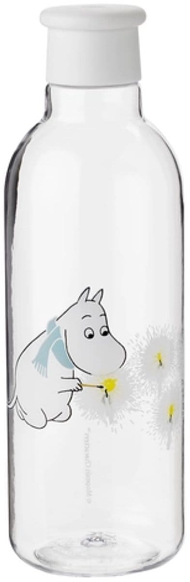 Waterfles Rig-Tig Drink-It Frost 750ml