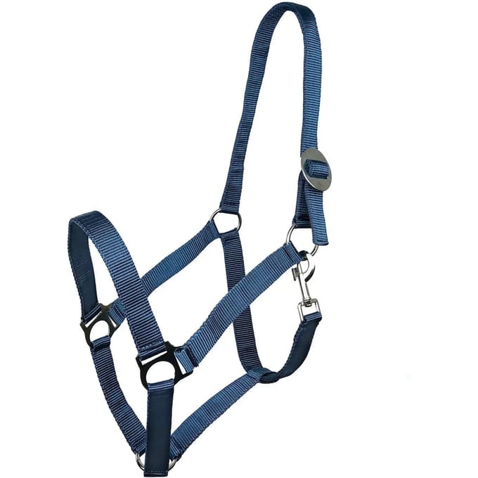 Halster voor paarden York Harmony