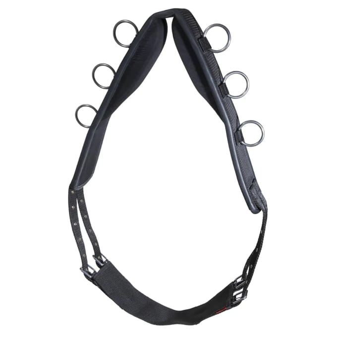 Nylon longe band voor paard Karlslund