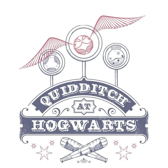 Harry Potter Quidditch at Hogwarts T-shirt - Wit - S