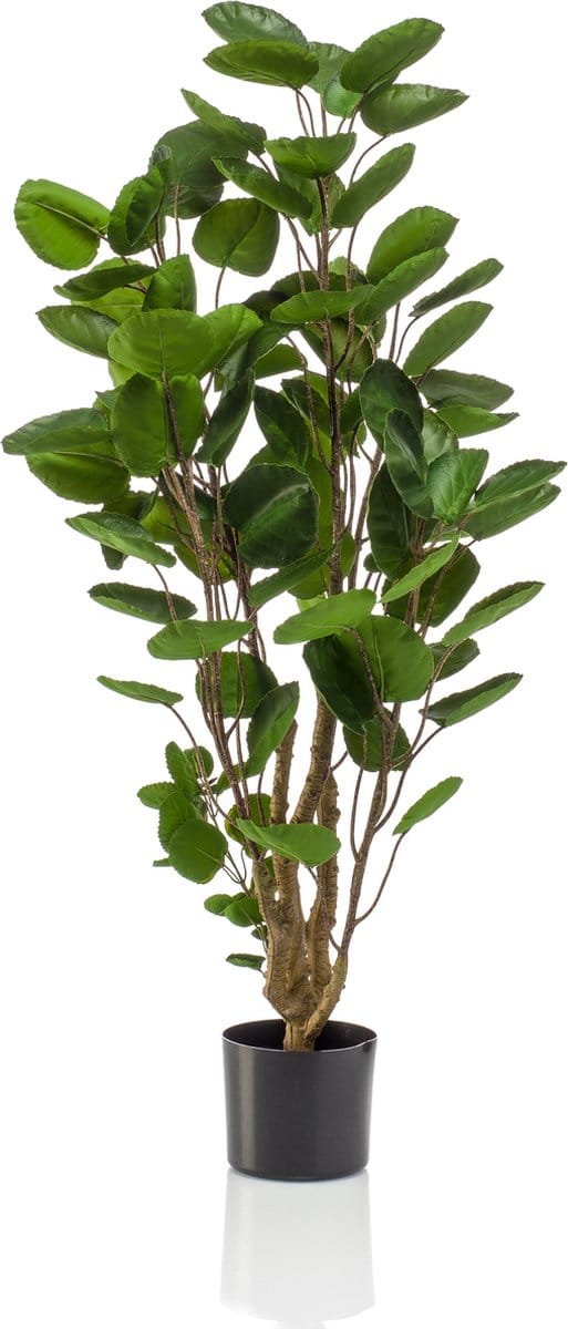 Emerald - Kunstboom Polyscias 105cm - Kunstplant voor binnen