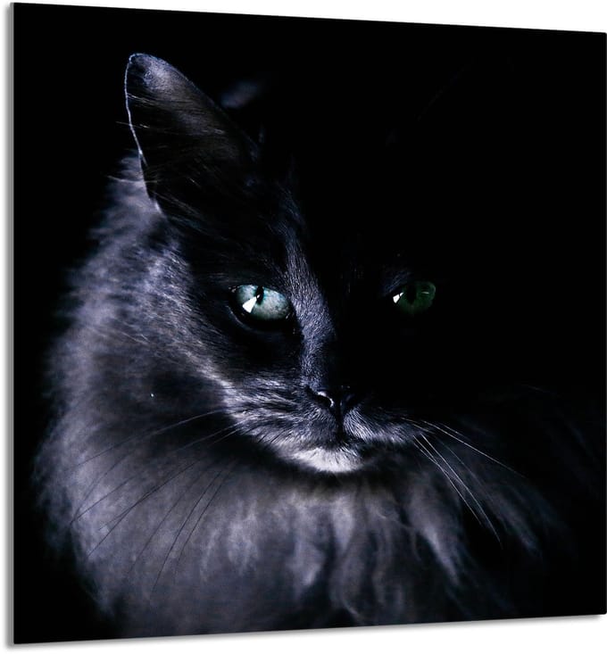 TMK ArtDeko - Snijplank - 60x65 cm - Glas - Kat