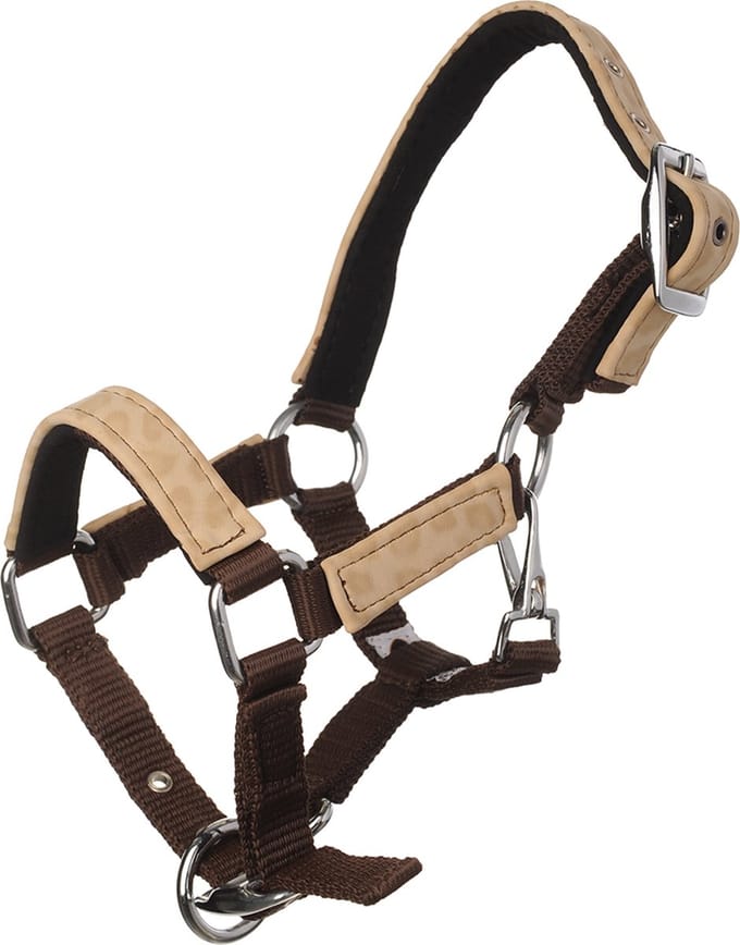 MHS Halster Leopard Geel Full