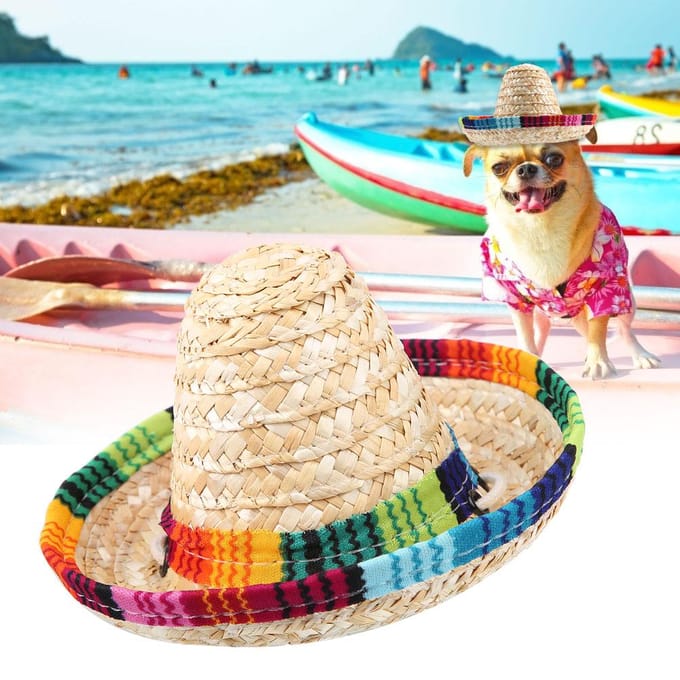 Mini Chapeau de Fête Sombrero en Paille pour Petits Animaux Chiot Chat avec Ajustement par Corde en Coton blue