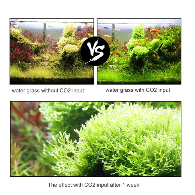 Aquarium CO2 Generator Systeem Kits CO2 Roestvrijstalen Cilinder Generator Systeem Kooldioxide 2L black