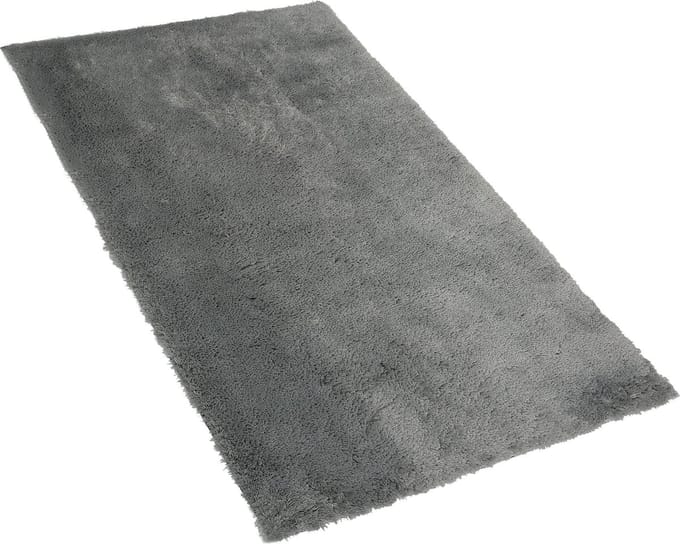 EVREN - Shaggy vloerkleed - Lichtgrijs - 80 x 150 cm - Polyester