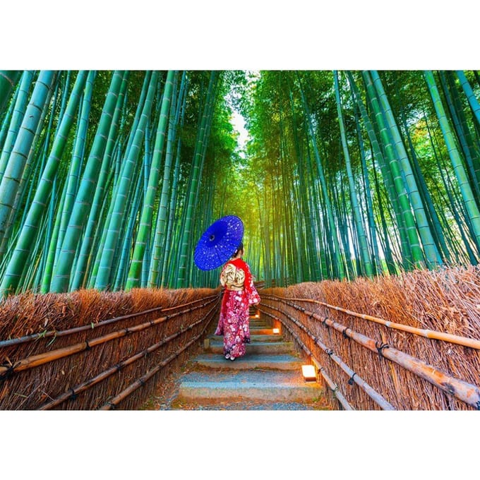 Enjoy Puzzle legpuzzel Asian Woman in Bamboo Forest - 1000 stukjes.