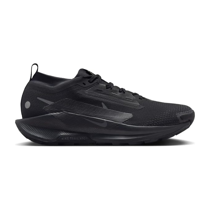 Trail schoenen Nike Pegasus 5 Gore-Tex